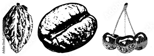 Black and white halftone graphic of cacao pod, roasted coffee bean, and cherry fruit cluster, isolated vector art for design, food illustration, or print.