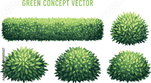 Green hedge and bush vector set isolated illustration of decorative garden shrubs foliage landscaping elements in shapes for design use
