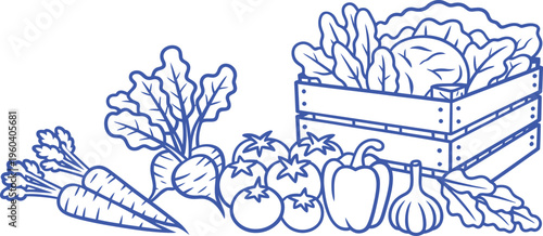 fresh vegetable line art vector illustration featuring a wooden crate with carrots tomatoes pepper garlic and leafy greens.