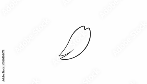 Minimalist Single Cherry Blossom Petal Falling Isolated on White Background