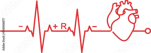 Heartbeat vector illustration with anatomical heart and ECG line, medical design, cardiology concept, healthcare symbol, pulse monitoring, heart awareness