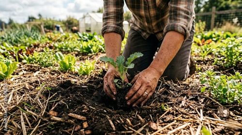 farmer, agriculture, field, farm, farming, nature, agricultural, plant, farmland, man, land, rural, harvest, crop, cultivated, spring, green, organic, person, growth,