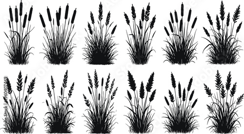 Cattails and Reed Grass Silhouettes Collection Featuring Marsh Plants Black Vector Icons Set Isolated on White Background Graphics