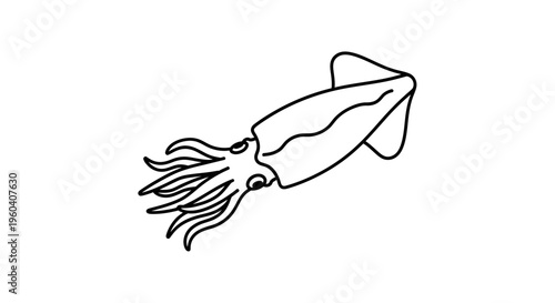 Minimalist Line Art Squid Illustration - Simple Seafood Icon
