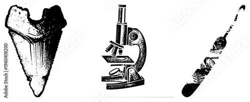 shark tooth, scientific microscope, feathered dinosaur bone fragment isolated vector with halftone texture, ideal for paleontology, biology, or education visuals.