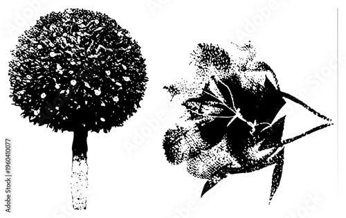 Black and white halftone illustration of a spherical topiary tree and abstract flower, vector art, graphic design elements, botanical motifs, artistic rendering.