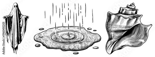 Vintage engraved ghost, rain droplet ripples, spiral conch classic art illustrations. Haunted spirit, ocean, wet puddle art.