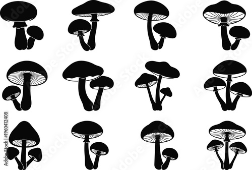 Silhouettes of mushrooms in diverse shapes and clusters, elegant outline design symbolizing mycology, botany, nature, fungi themes