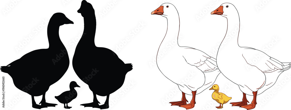 Obraz premium Silhouettes and detailed illustrations of birds in groups, elegant outline and color design symbolizing wildlife, nature, artistic themes