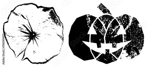 Grungy black and white Halloween pumpkin jack o lantern and sand dollar, vector art, textured, spooky and beach themes, isolated.