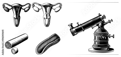 Detailed anatomical drawings of female reproductive system, cervix, fallopian tubes, ovaries, and vintage telescope, engraved vector art.