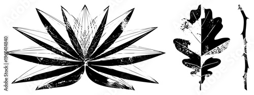 Abstract botanical vector art featuring lotus and oak leaf silhouettes with distressed texture, graphic design elements, nature motifs, illustration.