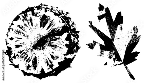 Black and white halftone section and maple leaf, graphic design elements, vector art, textured, stylized botanicals, print, vintage aesthetic.