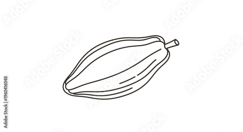 Papaya Fruit Outline Drawing, Tropical Fruit, Healthy Food, Vector Illustration