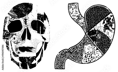 Detailed black and white vector anatomy of skull and stomach, medical illustration, human digestive system, skeletal structure, textured art, educational diagram.