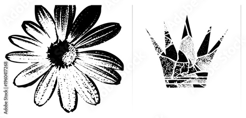 Stylized daisy flower and crown rendered in halftone dot, vector art, design, graphic illustration, isolated elements, cutout style, rgba compatible.