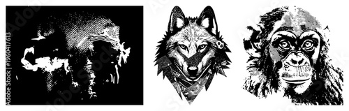 Graphic illustrations of wolf, chimpanzee, and boar in halftone and stipple styles, vector art, isolated animal portraits, bold art, wildlife design.