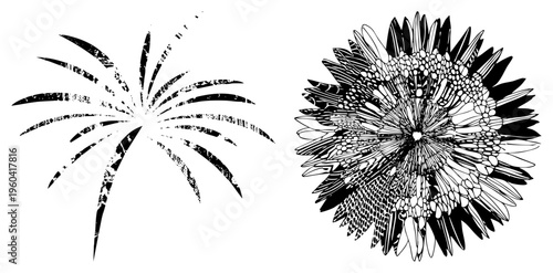 Black and white vector art featuring explosive firework and detailed flower, graphic design elements, decorative motifs, art.