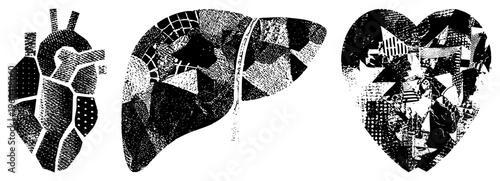 Medical illustration of heart, liver, and spleen using geometric halftone patches, black and white vector art, anatomical cutouts with texture variation.
