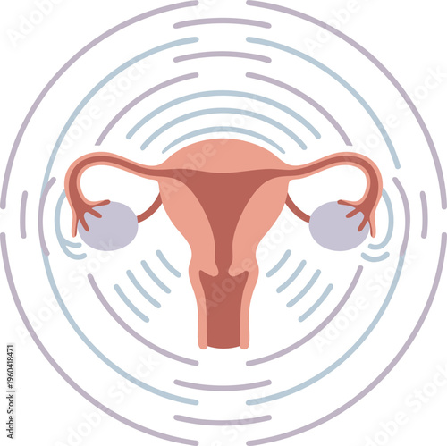 Illustration of the female reproductive system with surrounding circular lines symbolizing shifting hormone levels and menstrual cycle changes during menopause