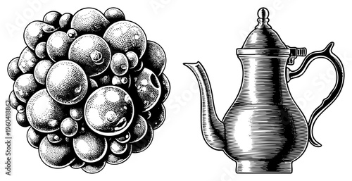 Classic halftone engraving of clustered grapes and antique coffee pot, both rendered in detailed hatching, ideal for retro branding or menu design.