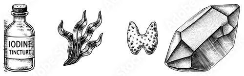 Medical tincture bottle, kelp seaweed, thyroid gland illustration, mineral specimen, black and white vector engraving style.