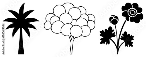 Black vector illustrations of palm tree, grape cluster, and flowering plant with leaves, minimalist flat design, botanical, isolated elements.