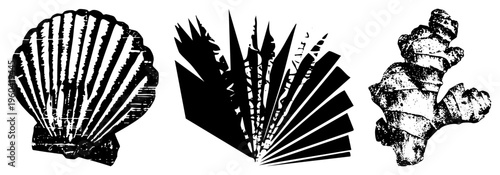 Stylized black and white of, feather fan, and ginger root with textured, distressed vector art, ideal for graphic design projects.