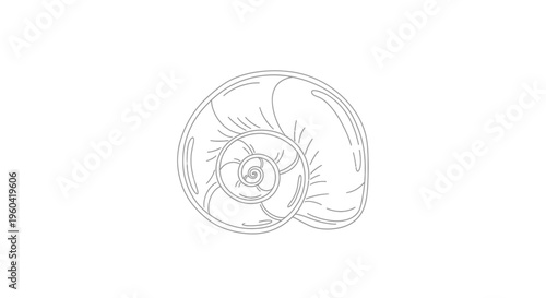 Minimalist Spiral Snail Shell Outline Drawing, Single Line Art, Vector Graphic