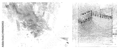 Artistic halftone composition using dot density variation, grayscale gradient, visual texture, graphic design element, vector, print effect, digital art.