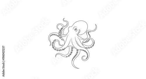 Minimalist Octopus Line Art Drawing, Elegant Marine Creature Illustration
