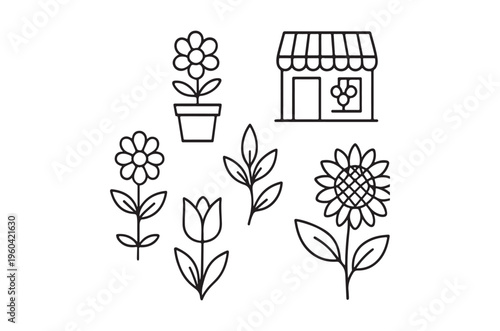 Simple line drawing of flowers a shopfront and botanical elements