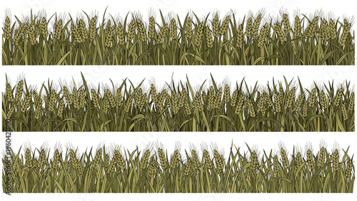 Three horizontal bands showing a dense field of golden wheat ears ready for harvest, symbolizing agriculture and food production.