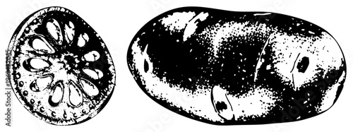 Illustrated tomato slice revealing seeds and pulp, whole potato with skin texture, black and white vector art, food graphic, botanical drawing.