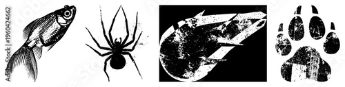 Classic engraved style fish with scales, spider with legs, with flames, paw print with pads. vector art, isolated symbols, retro engraving aesthetic.