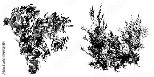 Stylized foliage rendered in high contrast halftone, abstract plant forms, graphic vegetation, vector art, textured brushwork, isolated flora, digital illustration.