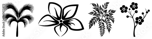 Vector plant including palm fronds, abstract bloom, fern leaves, and flowering branch, minimalist black art, graphic design elements, nature motifs.