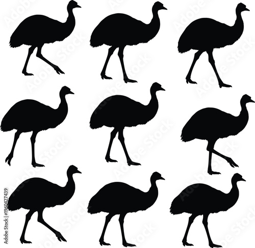 Emu silhouettes, walking bird, flightless animal, wildlife posture, running stance, exotic species, nature motion, illustration set