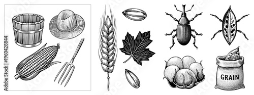Rustic agricultural including corn, straw hat, pitchfork, wheat stalk, maple leaf, grain sack, and crop pests classic engraving style for farming, harvest, or vintage design.