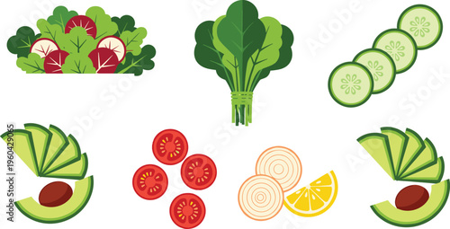 Fresh Salad Ingredients Vector Set Featuring Lettuce, Spinach, Cucumber, Avocado, Tomato, Onion and Lemon Healthy Organic Food Collection