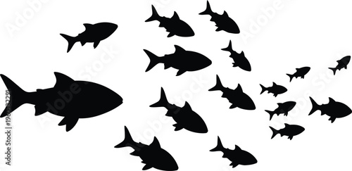Photography Black silhouette school of fish vector art with grouped aquatic animals swimming
