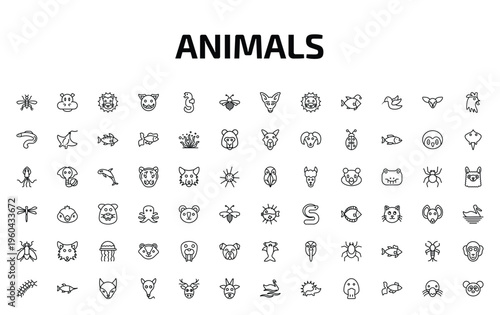 animals outline icon set. 72 linear vector for ui, web and mobile. thin line mosquito, hippopotamus, lion head and more icons.