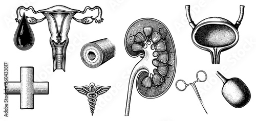 Detailed black and white anatomical diagrams of female reproductive organs, kidney section, medical symbols, and surgical instruments rendered in classic engraving style.