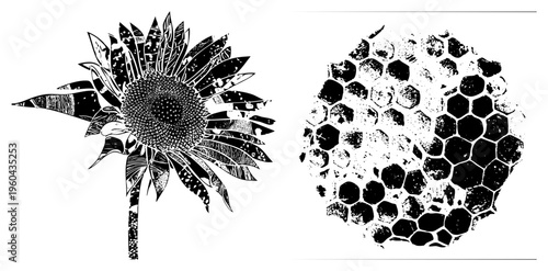 Black and white vector illustration of sunflower and honeycomb, halftone texture, artistic, isolated graphic elements, and geometric design.