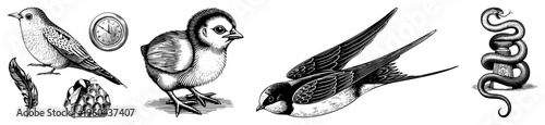 Classic engraved wildlife motifs including chick, swallow, clock, feather, and serpent coiled around a jar, rendered in detailed with halftone shading.
