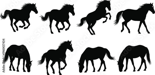 Flat vector illustration of horses in running, walking, grazing poses, horse silhouettes, wild animal collection, equine wildlife, nature design, farm animal