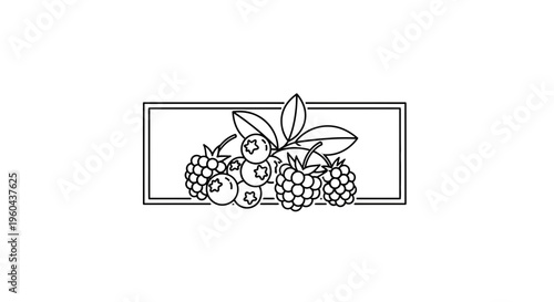 Line Art Berries: Raspberries and Blueberries in a Rectangle Frame