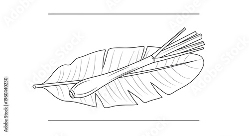 Lemongrass on Banana Leaf, Hand-Drawn Illustration, Asian Cuisine Ingredient