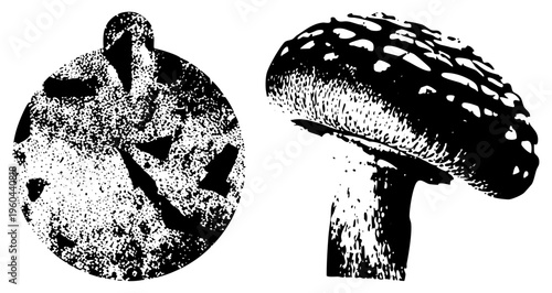 Black and white halftone mushroom with textured cap, circular abstract, vector graphic, isolated design, stylized fungi, dot matrix art.