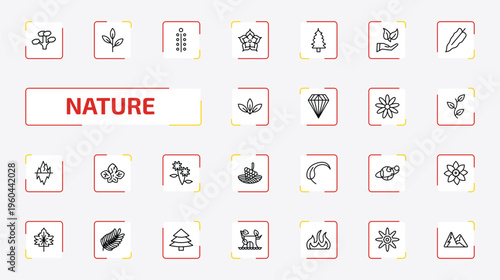 nature outline icon set. 25 linear vector for ui, web and mobile. thin line slippery elm tree, green tea, mimosa and more icons.